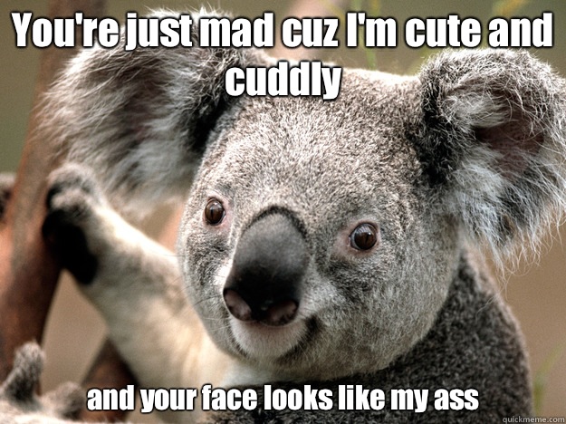 You're just mad cuz I'm cute and cuddly and your face looks like my ass - You're just mad cuz I'm cute and cuddly and your face looks like my ass  Evil Koala Bear