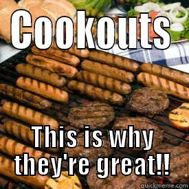 COOKOUTS THIS IS WHY THEY'RE GREAT!! Misc