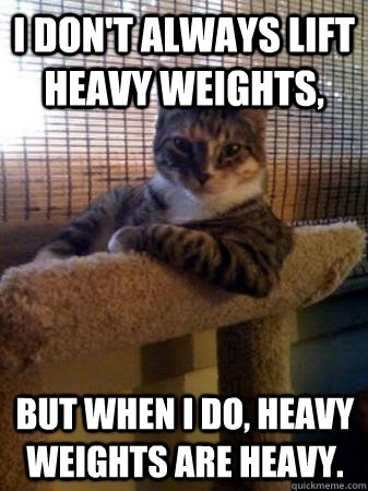 I don't always lift heavy weights, but when I do, heavy weights are heavy.  The Most Interesting Cat in the World