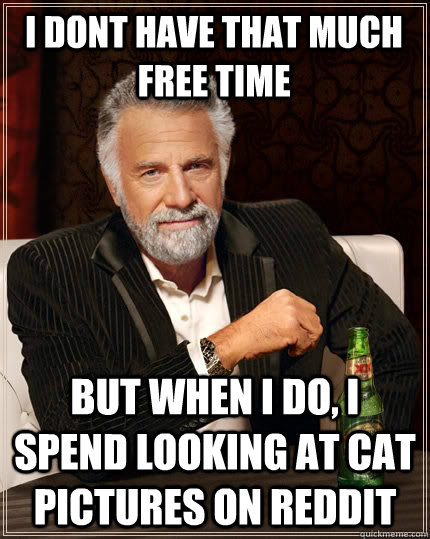 I dont have that much free time but when i do, i spend looking at cat pictures on reddit  The Most Interesting Man In The World