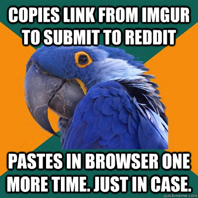 Copies link from imgur to submit to reddit Pastes in browser one more time. just in case.  Paranoid Parrot