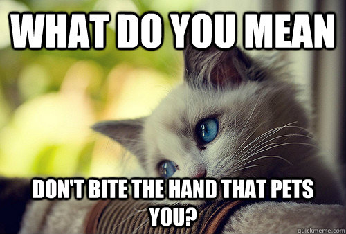 What do you mean don't bite the hand that pets you?  First World Problems Cat