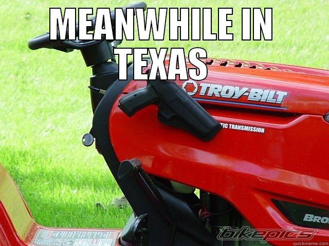 MEANWHILE IN TEXAS  Misc