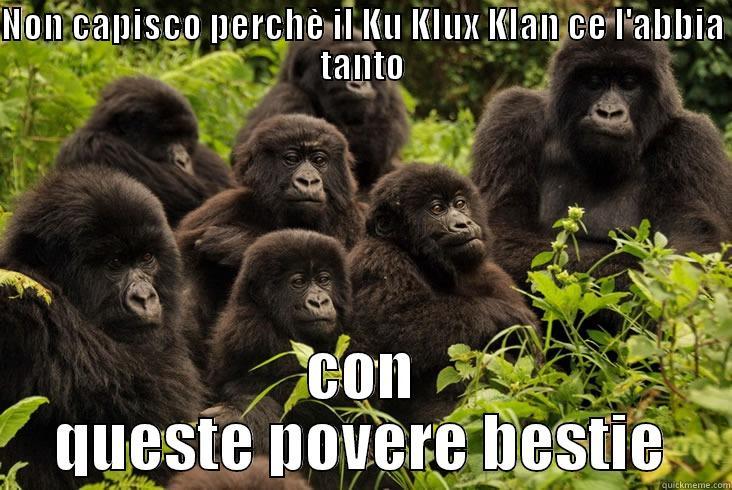 NON CAPISCO PERCHÈ IL KU KLUX KLAN CE L'ABBIA TANTO CON QUESTE POVERE BESTIE Misc