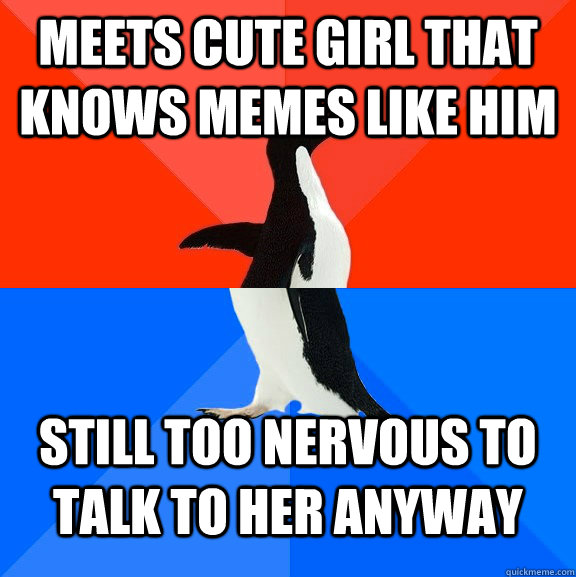 Meets cute girl that knows memes like him Still too nervous to talk to her anyway - Meets cute girl that knows memes like him Still too nervous to talk to her anyway  Socially Awesome Awkward Penguin