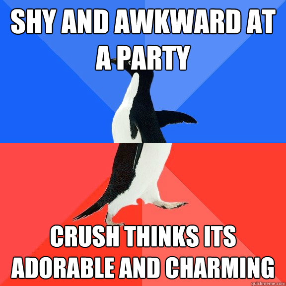 Shy and awkward at a party crush thinks its adorable and charming  Socially Awkward Awesome Penguin