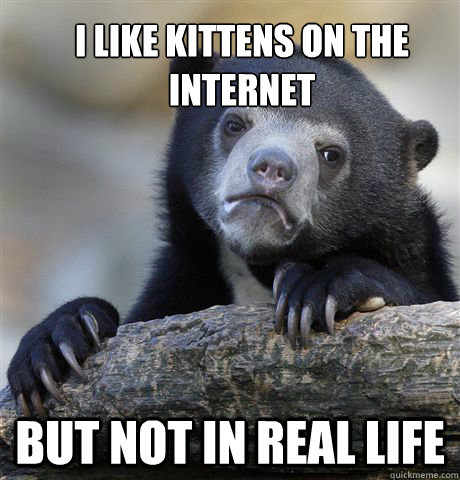 i like kittens on the internet but not in real life  Confession Bear