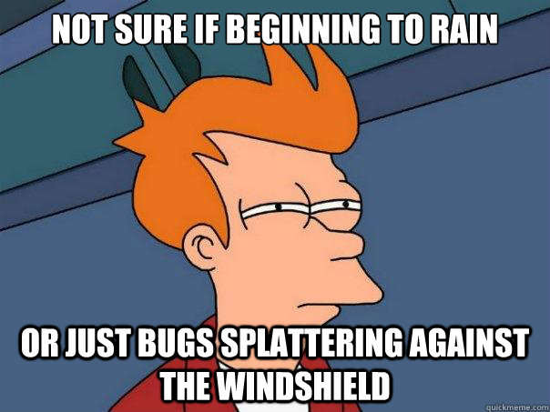 Not sure if beginning to rain or just bugs splattering against the windshield  Futurama Fry