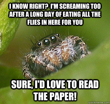 I know right?  I'm screaming too after a long day of eating all the flies in here for you Sure, I'd love to read the paper! - I know right?  I'm screaming too after a long day of eating all the flies in here for you Sure, I'd love to read the paper!  Misunderstood Spider