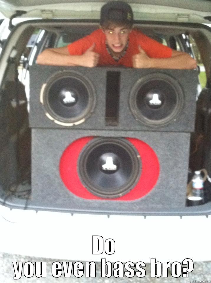 Do you even bass bro? -  DO YOU EVEN BASS BRO? Misc