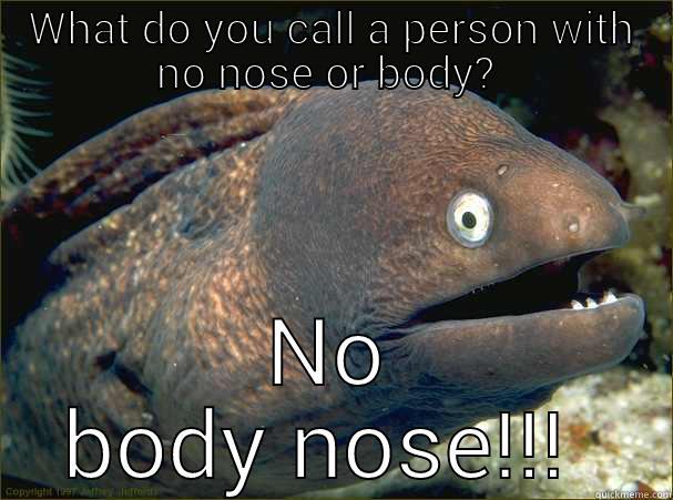 WHAT DO YOU CALL A PERSON WITH NO NOSE OR BODY?  NO BODY NOSE!!!  Bad Joke Eel