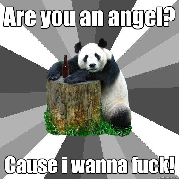 Are you an angel? Cause i wanna fuck!  Pickup-Line Panda