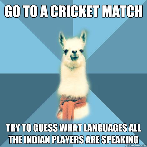 go to a cricket match try to guess what languages all the Indian players are speaking  Linguist Llama