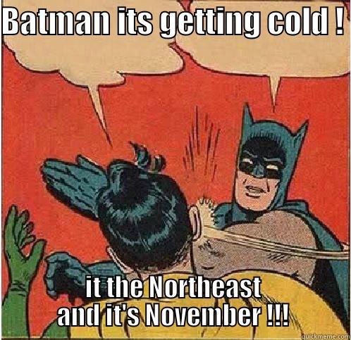 BATMAN ITS GETTING COLD ! IT THE NORTHEAST AND IT'S NOVEMBER !!! Batman Slapping Robin