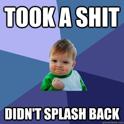 Took a shit Didn't splash back  Success Kid