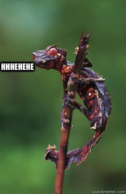 hhhehehe  Satanic gecko