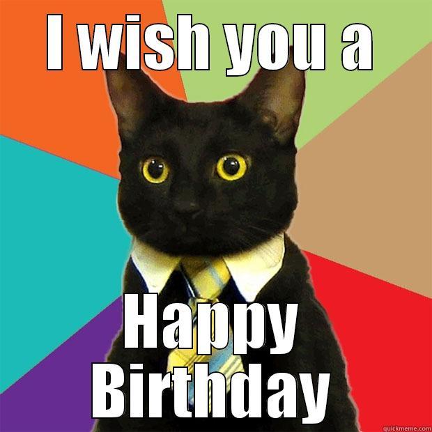 I WISH YOU A HAPPY BIRTHDAY Business Cat