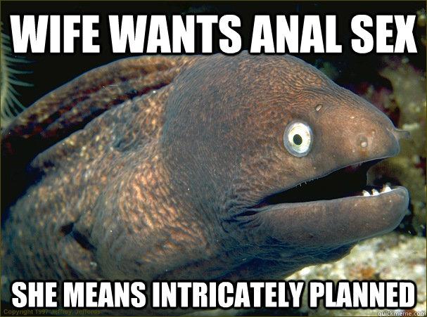 Wife Wants Anal Sex She Means Intricately Planned  Bad Joke Eel