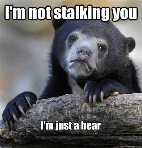 I'm not stalking you I'm just a bear - I'm not stalking you I'm just a bear  Confession Bear