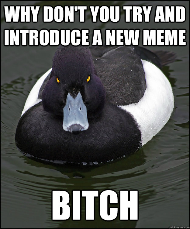 why don't you try and introduce a new meme bitch  