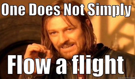 ONE DOES NOT SIMPLY  FLOW A FLIGHT Boromir