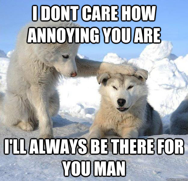 i dont care how annoying you are i'll always be there for you man  Caring Husky