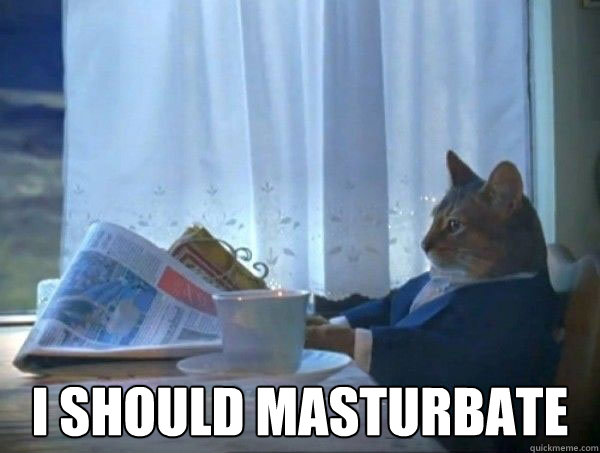  i should masturbate  morning realization newspaper cat meme