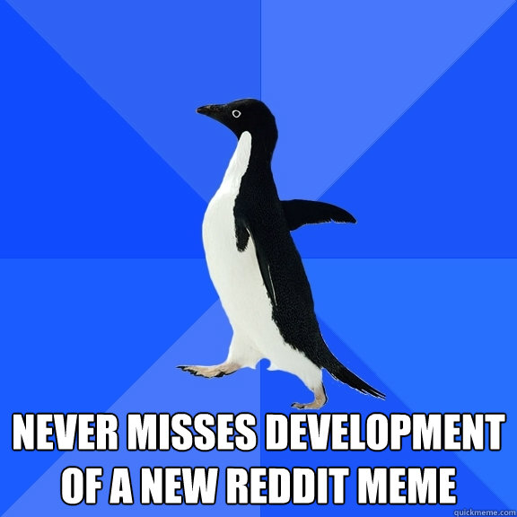  never misses development of a new reddit meme  Socially Awkward Penguin