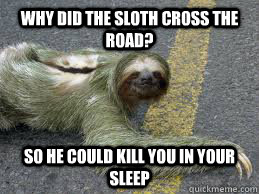 Why Did the sloth cross the road? So he could kill you in your sleep  