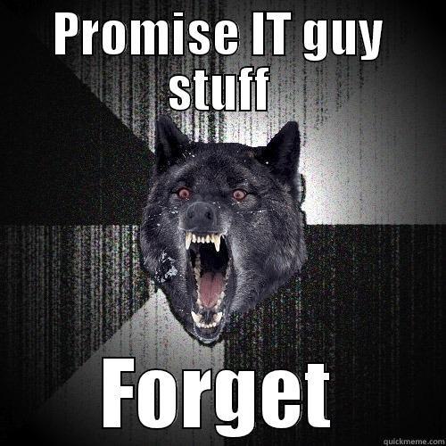 PROMISE IT GUY STUFF FORGET Insanity Wolf