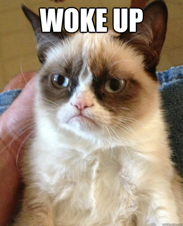 Woke up   Grumpy Cat