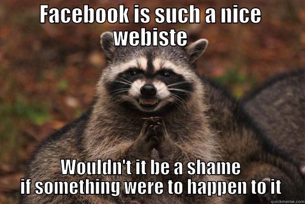 You are not safe - FACEBOOK IS SUCH A NICE WEBISTE WOULDN'T IT BE A SHAME IF SOMETHING WERE TO HAPPEN TO IT Evil Plotting Raccoon