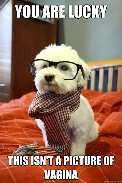 YOU ARE LUCKY THIS ISN'T A PICTURE OF VAGINA  Hipster Dog