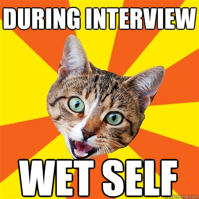 During interview wet self  Bad Advice Cat