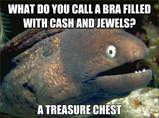 What do you call a bra filled with cash and jewels? A treasure chest  Bad Joke Eel