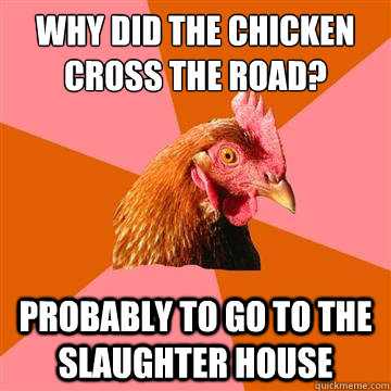 Why did the chicken cross the road? Probably to go to the slaughter house  Anti-Joke Chicken