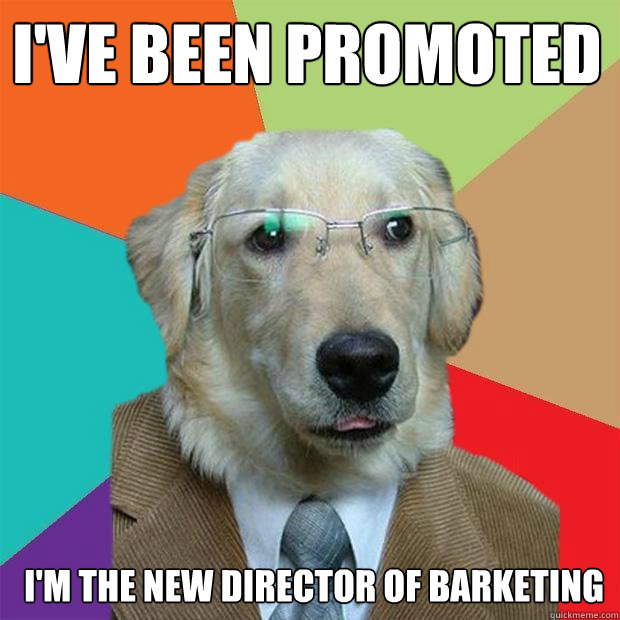 I've been promoted I'm the new director of barketing  Business Dog