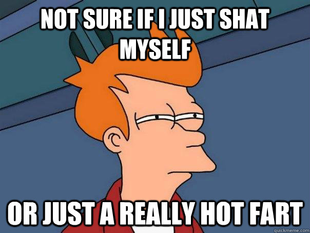 Not sure if I just shat myself Or just a really hot fart - Not sure if I just shat myself Or just a really hot fart  Futurama Fry