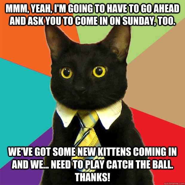 Mmm, yeah, I'm going to have to go ahead and ask you to come in on Sunday, too.  We've got some new kittens coming in and we... need to play catch the ball. Thanks!  Business Cat