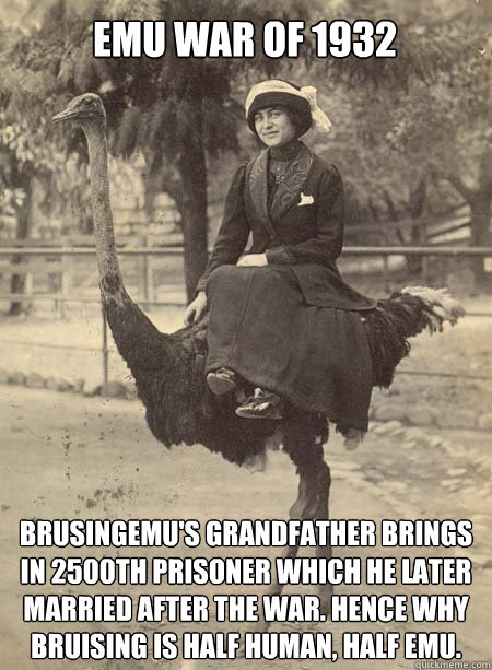 EMu war of 1932 BrusingEMU's grandfather brings in 2500th prisoner which he later married after the war. hence why bruising is half human, half emu. - EMu war of 1932 BrusingEMU's grandfather brings in 2500th prisoner which he later married after the war. hence why bruising is half human, half emu.  Emulator