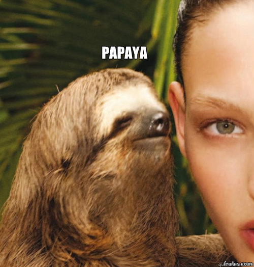 papaya   rape sloth