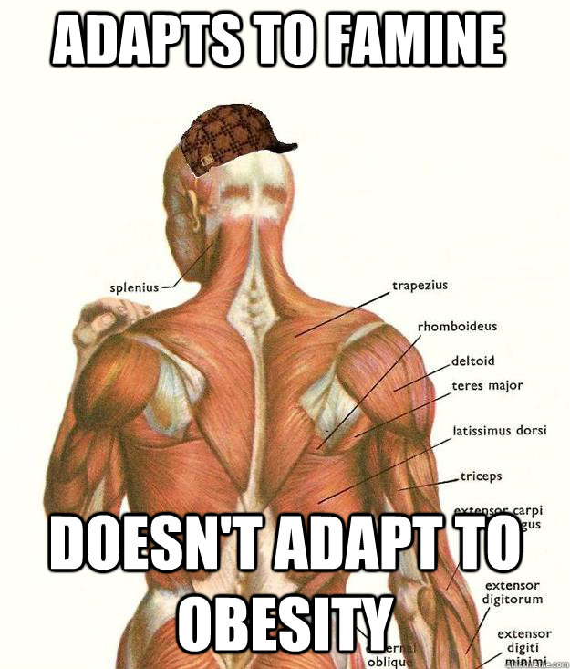 Adapts to famine Doesn't adapt to obesity  Scumbag body