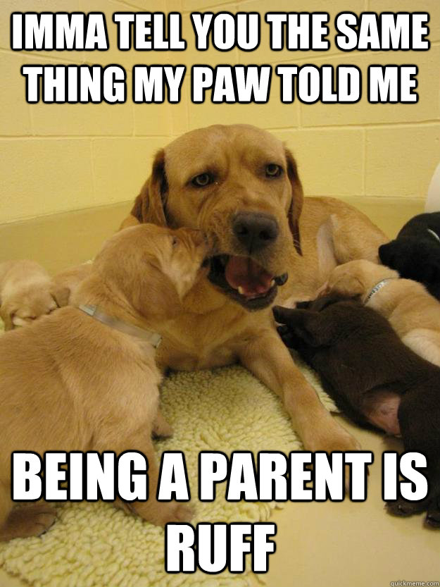 Imma tell you the same thing my paw told me being a parent is ruff - Imma tell you the same thing my paw told me being a parent is ruff  Seasoned Parent Dog