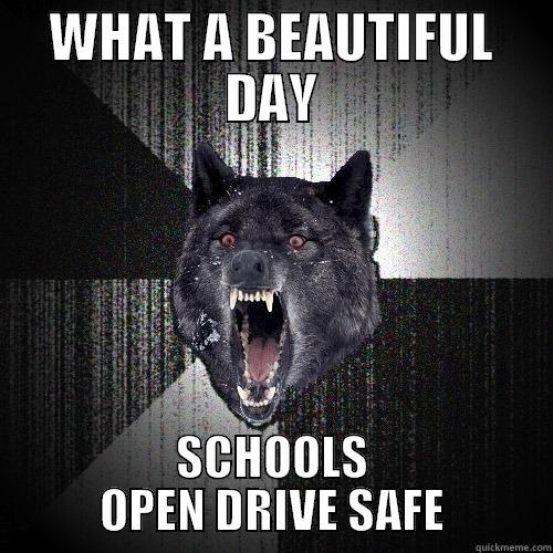 WHAT A BEAUTIFUL DAY SCHOOLS OPEN DRIVE SAFE Insanity Wolf