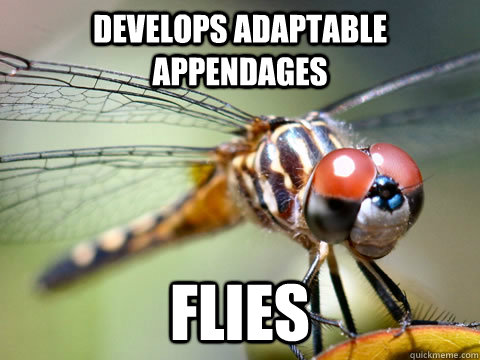 Develops adaptable appendages flies - Develops adaptable appendages flies  Arthropod Freshman