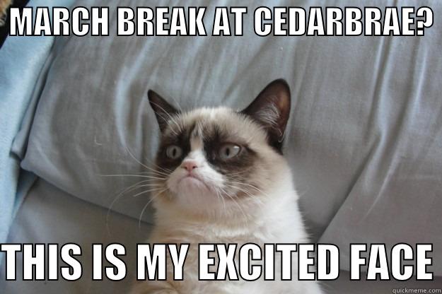  MARCH BREAK AT CEDARBRAE?   THIS IS MY EXCITED FACE Grumpy Cat