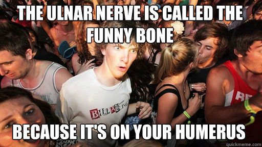 the ulnar nerve is called the funny bone because it's on your humerus  Sudden Clarity Clarence