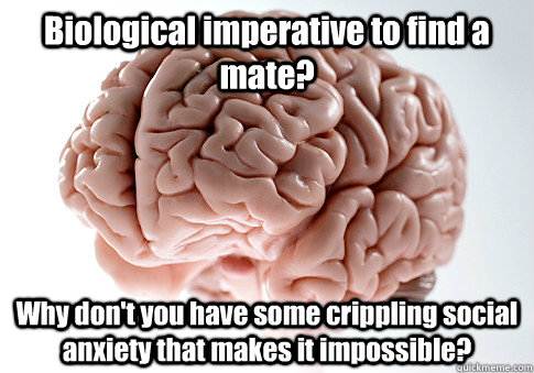 Biological imperative to find a mate? Why don't you have some crippling social anxiety that makes it impossible?  Scumbag Brain