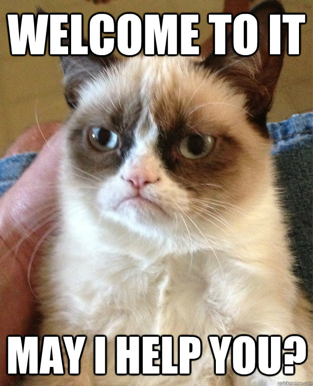 Welcome to IT May I Help You?  Grumpy Cat