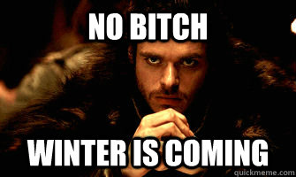 No Bitch Winter is Coming  Robb Stark